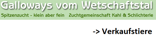 Verkaufstiere