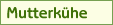 Mutterkhe