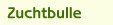 Zuchtbulle