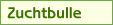 Zuchtbulle
