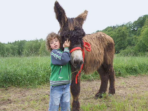 moritz_mit_esel