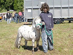 pony_198